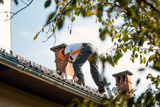 Best Roof Gutter Cleaning  in Howe, TX